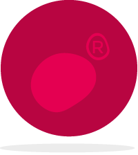 SERVICIOS COMPLEMENTARIOS